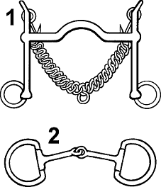 Illustration of bit