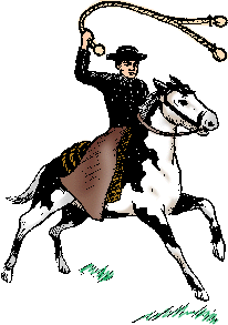 Illustration of bola