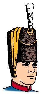 Illustration of busby