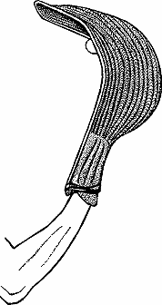 Illustration of cesta
