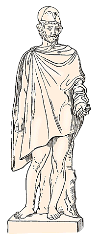 Illustration of chlamys