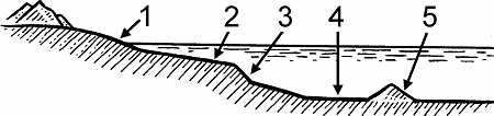 Illustration of continental shelf