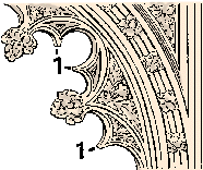 Illustration of cusp