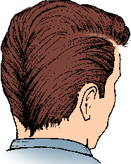 Illustration of ducktail