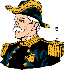 Illustration of epaulet