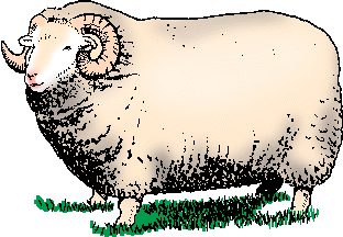 Illustration of exmoor