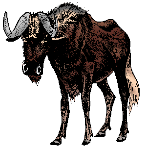 Illustration of gnu