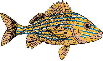 Illustration of grunt