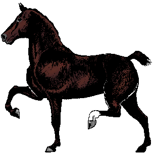 Illustration of hackney