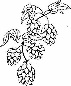 Illustration of hop