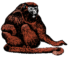 Illustration of howler monkey