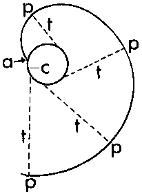 Illustration of involute