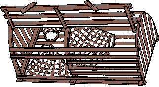 Illustration of lobster pot
