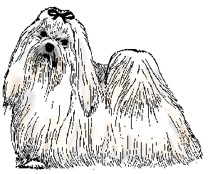 Illustration of maltese