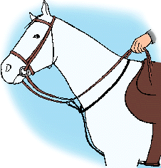 Illustration of martingale