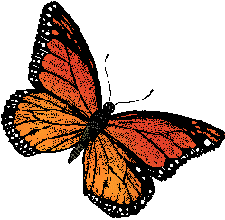 Illustration of monarch butterfly