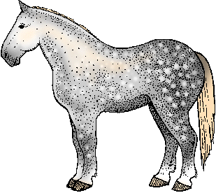 Illustration of percheron