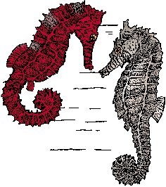 Illustration of seahorse