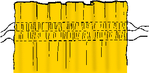 Illustration of shirring
