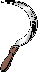 Illustration of sickle