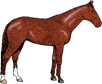 Illustration of standardbred