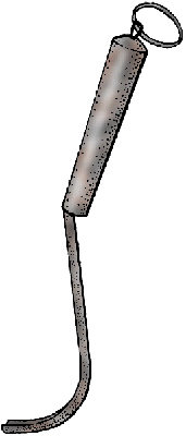 Illustration of strigil