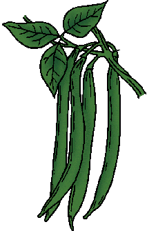 Illustration of string bean