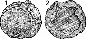 Illustration of thunder egg