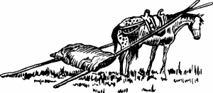 Illustration of travois