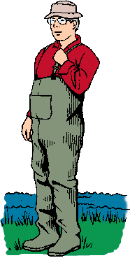 Illustration of wader