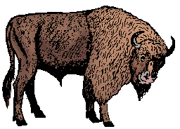 Illustration of wisent