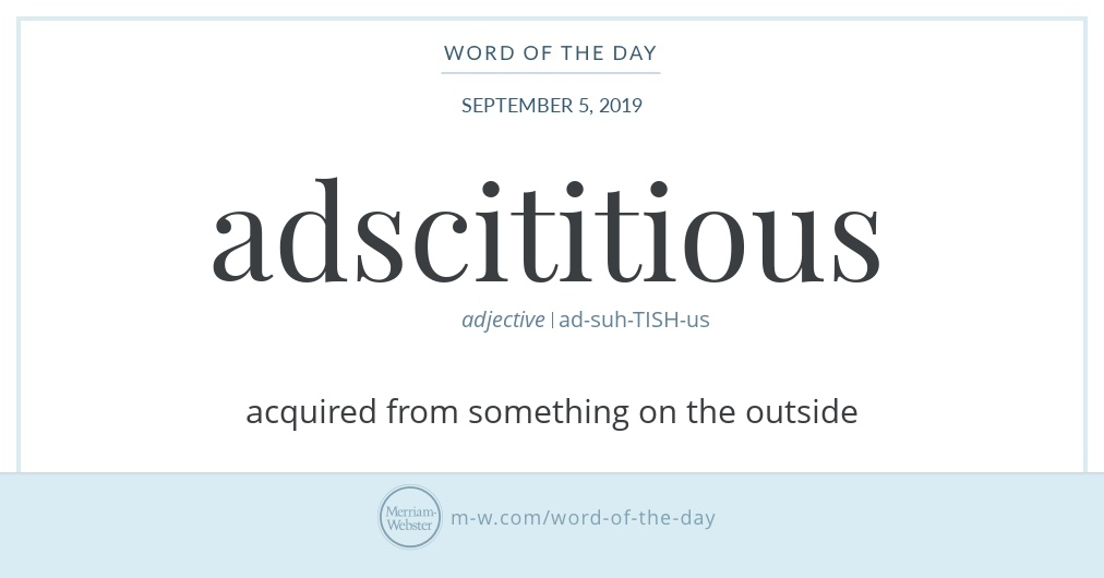 Adscititious Springfield Word of the Day: Adscititious | Merriam-Webster